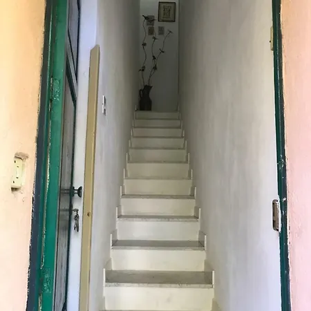 Luna Palermo